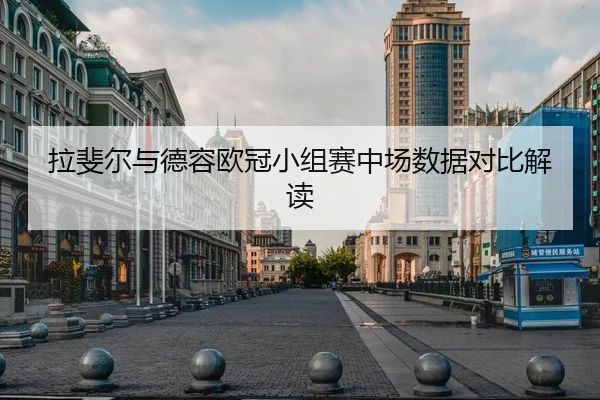 拉斐尔与德容欧冠小组赛中场数据对比解读